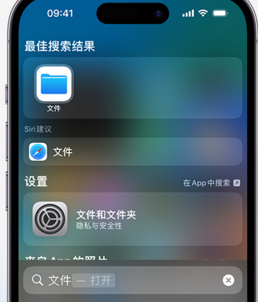 海西apple维修中心分享iPhone文件应用中存储和找到下载文件 