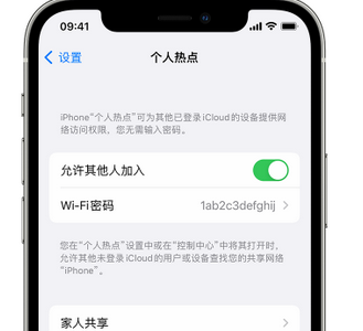 海西apple服务站点分享iPhone上个人热点丢失了怎么办 