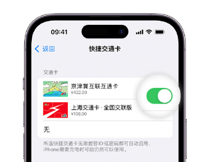 海西apple维修点分享iPhone上更换Apple Pay快捷交通卡手绘卡面 