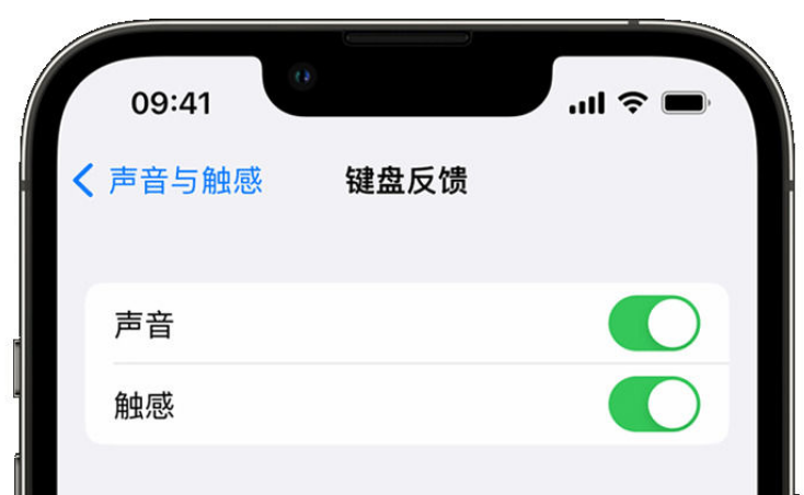 海西苹果手机维修分享iPhone 14触感键盘使用方法 