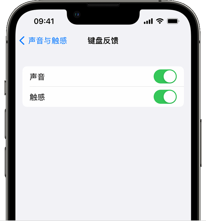 海西苹果14维修店分享如何在 iPhone 14 机型中使用触感键盘 