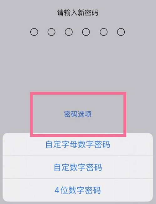 海西苹果14维修分享iPhone 14plus设置密码的方法 