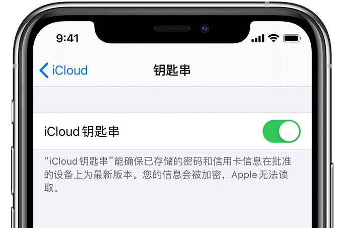 海西苹果手机维修分享在 iPhone 上开启 iCloud 钥匙串之后会储存哪些信息 